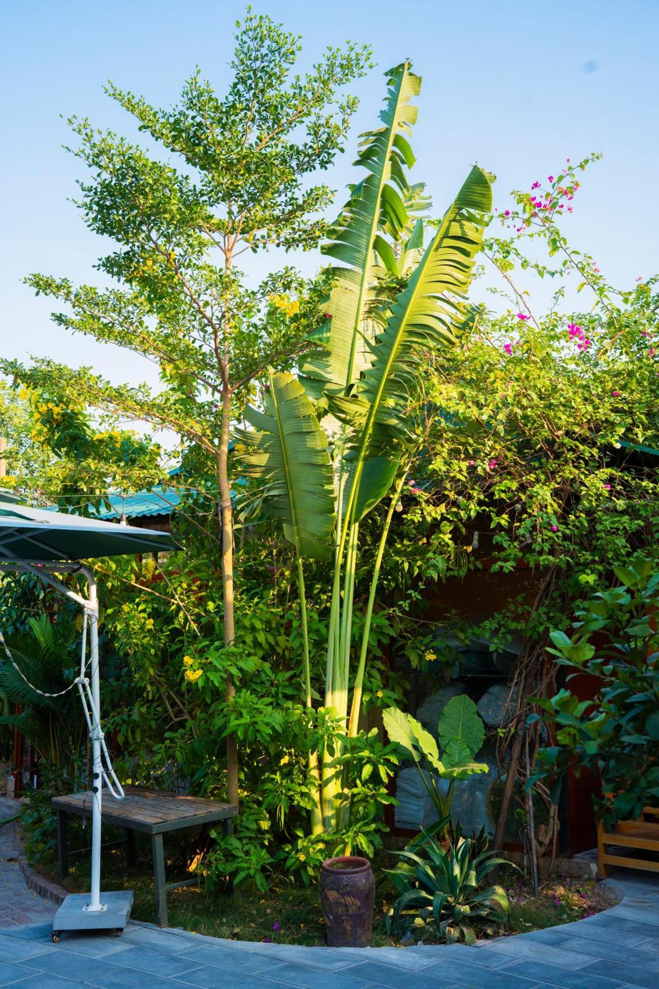 Rosa Garden Hotel Ninh Binh Bagian luar foto